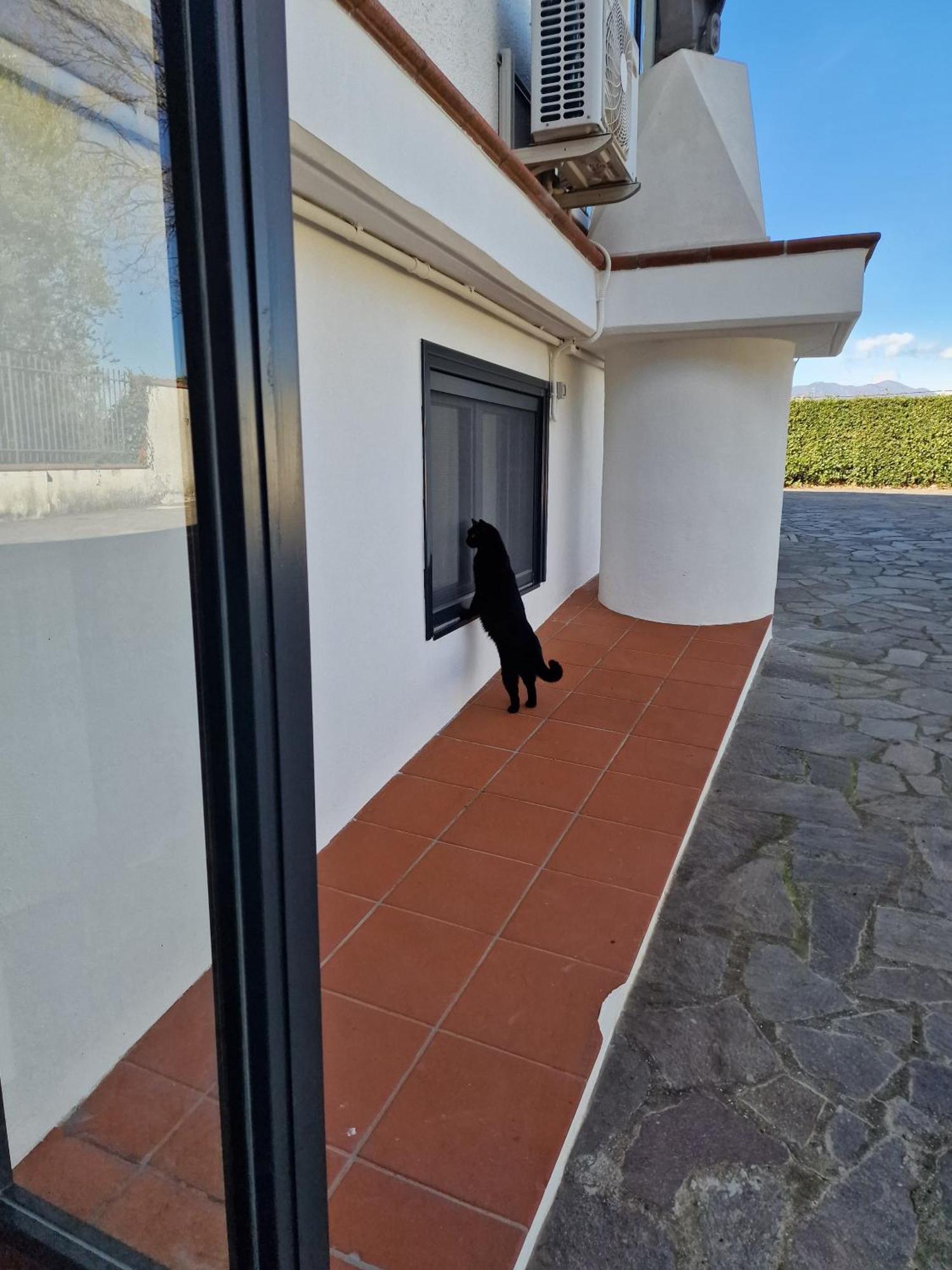 Villa Mandetta B&B Santo Stefano del Sole Exterior foto